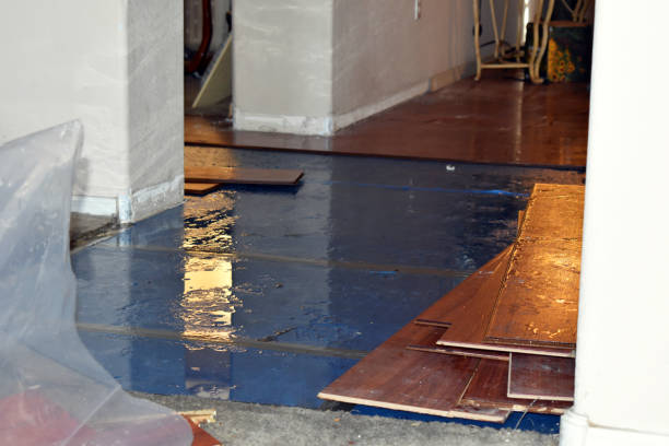 Professional Burst Pipe Cleanup technician working in Chamberlain, SD